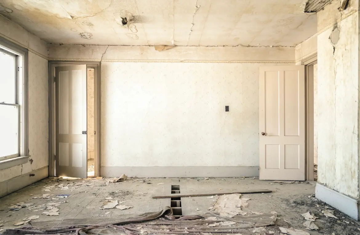 Waste disposal crew managing a cleanout project in New Port Richey